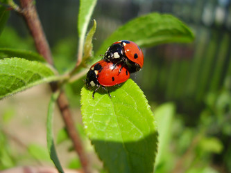 Similar image 1027251