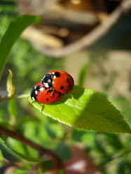 Similar image 1027252