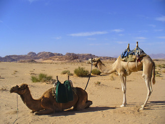 Similar image 1027268