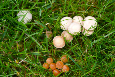 Similar image 1027277