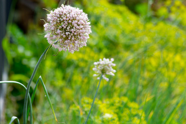 Similar image 1027278