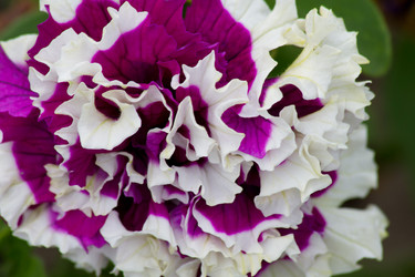 Similar image 1027279