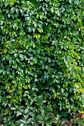 Similar image 1027280