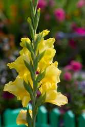 Similar image 1027281