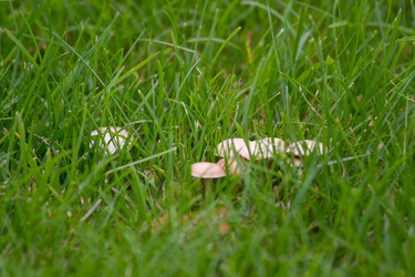 Similar image 1027283