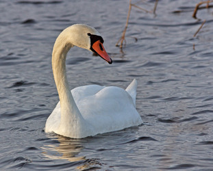 Similar image 1027297