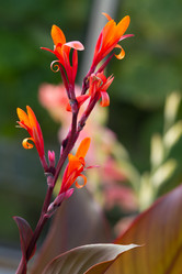 Similar image 1027298