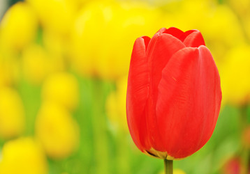 Similar image 1027302