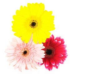 Similar image 1027311