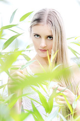 Similar image 1027312