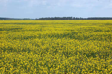 Similar image 1027322