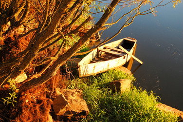 Similar image 1027323