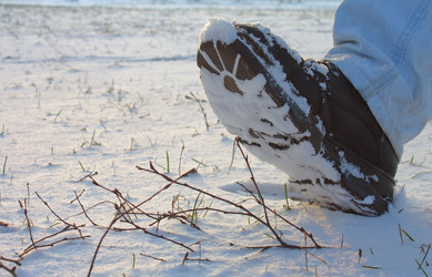 Similar image 1027333