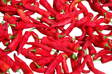 Similar image 1027365