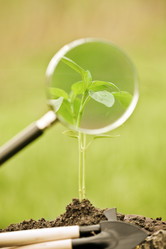 Similar image 1027432