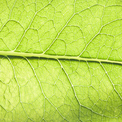 Similar image 1027436