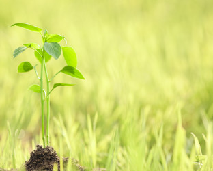 Similar image 1027437