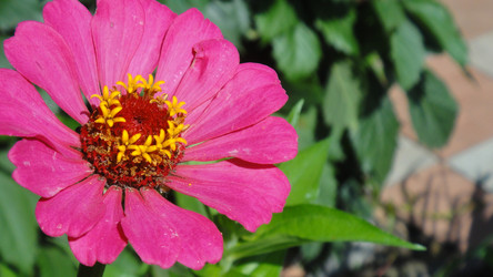 Similar image 1027444