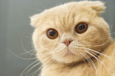 Similar image 1027513