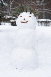 Similar image 1027516