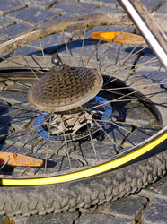 Similar image 1027557