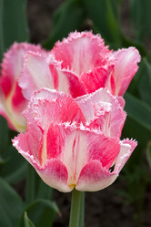 Similar image 1027558