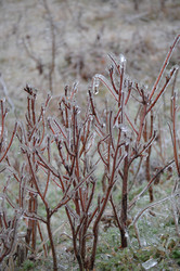 Similar image 1027574