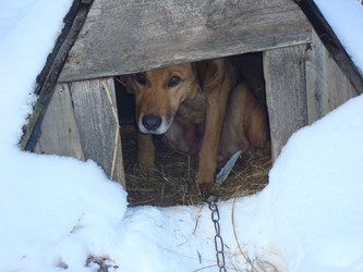 Similar image 1027662