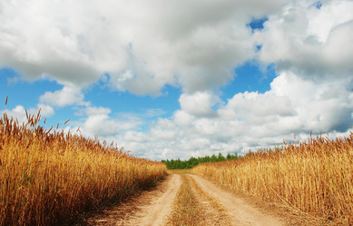 Similar image 1027783