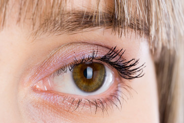 Similar image 1027836