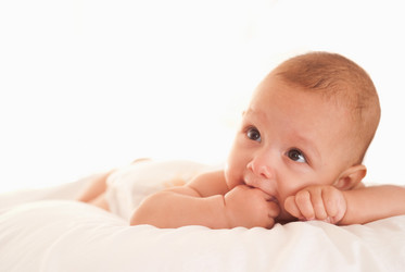 Similar image 1027860