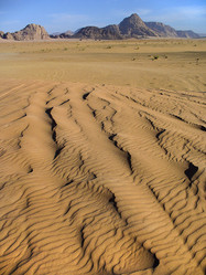 Similar image 1027938