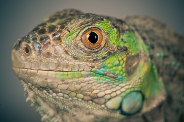 Similar image 1028047