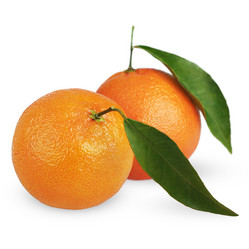 Similar image 1028097