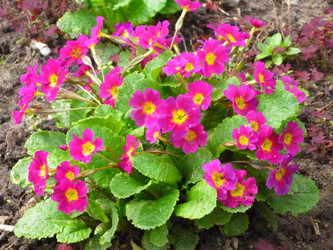 Similar image 1028134