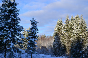 Similar image 1028139