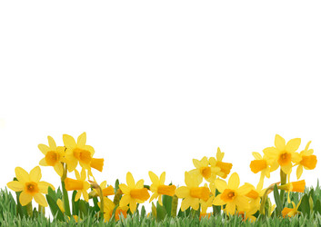 Similar image 1028163