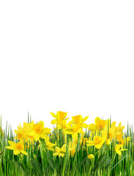 Similar image 1028164