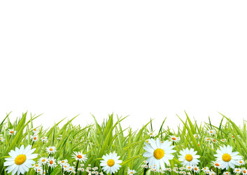 Similar image 1028169