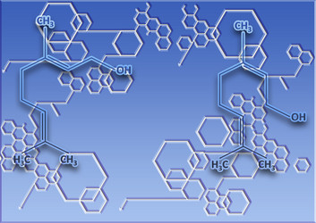 Similar image 1028235