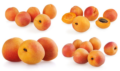 Similar image 1028257