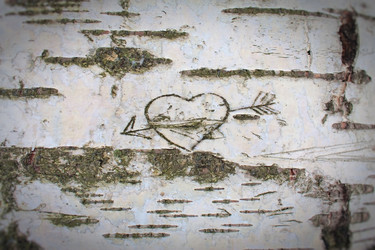 Similar image 1028266