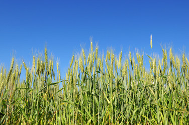 Similar image 1028288