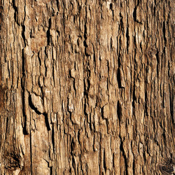 Similar image 1028295