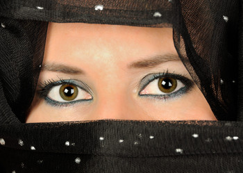 Similar image 1028381