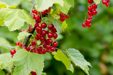 Similar image 1028383