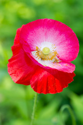 Similar image 1028391