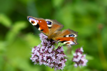 Similar image 1028394