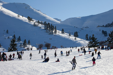 Similar image 1028411