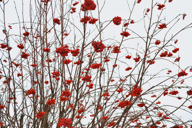 Similar image 1028421